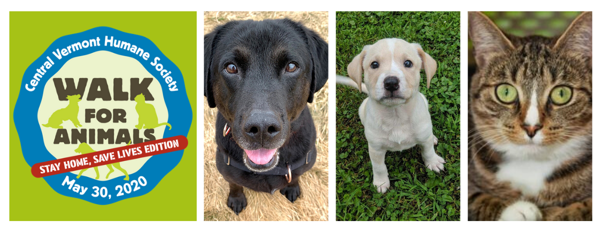 CVHS Walk for Animals 2020